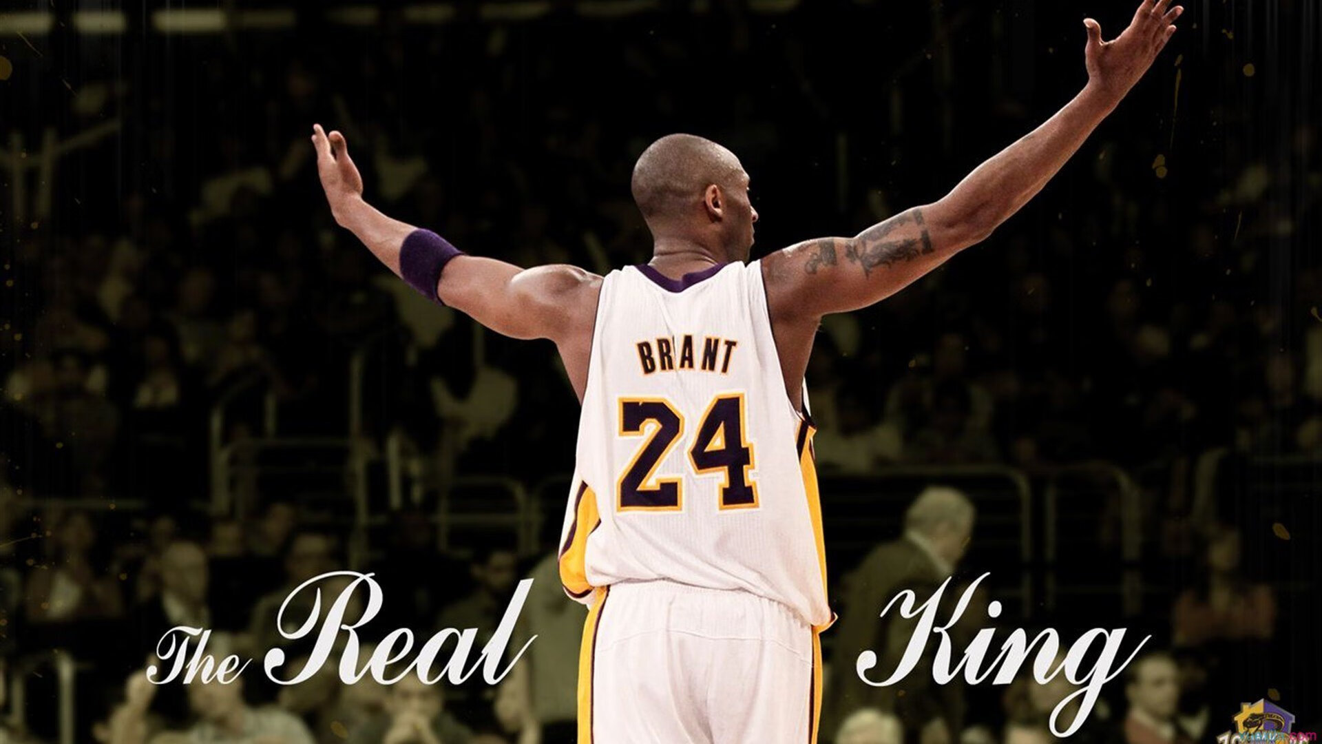 国际足联与各洲足联在赛事组织上加强协同,国际足联的作用