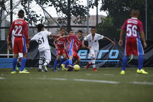 hth-中国足球青训成果展示会在多地举办,中国足球青训比赛