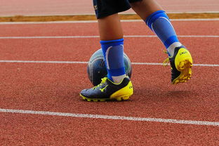 华体会体育官网登录-本土足球发展：英超青训体系再度迎来巅峰挑战，英超各队青训球星